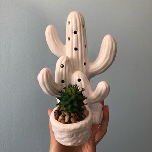 Decorative Glass Cactus Family 😊